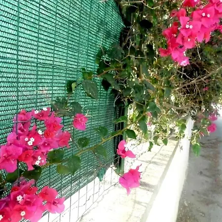 Vacanze Lido